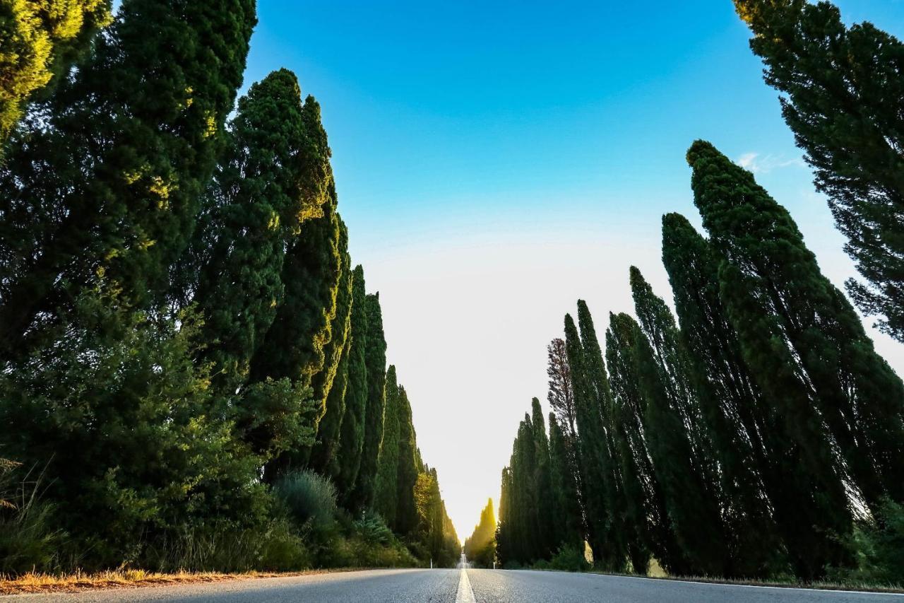 Alojamento de Acomodação e Pequeno-almoço Relais Felciaino Bolgheri