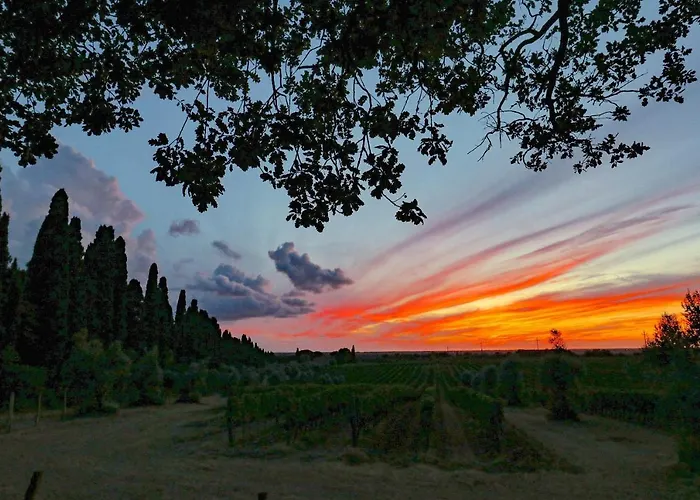Relais Felciaino B&B